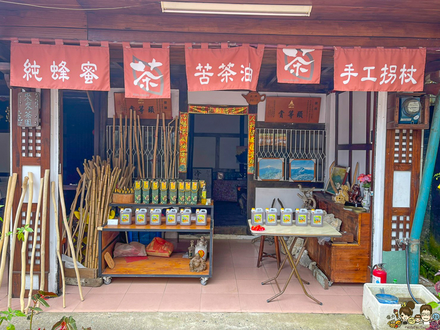 嘉義 梅山 太平雲梯 空中步道 嘉義景點 親子旅遊 太平老街 空氣圖書館