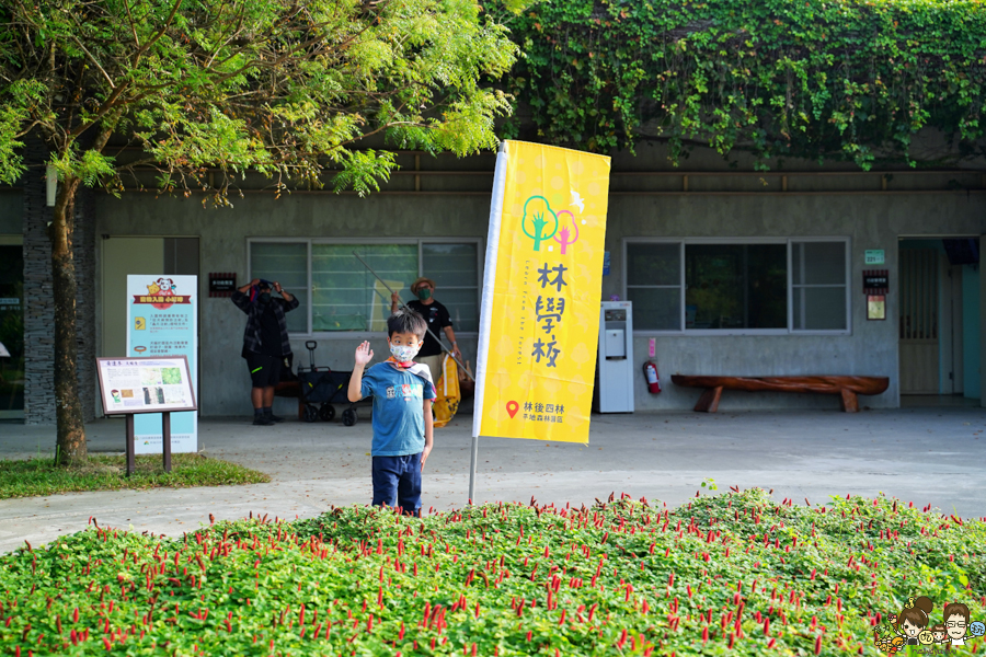 林學校 自然生態 導覽 走讀 旅遊 親子 互動 屏東 林後四林 環保 生態 在地美食 野餐 