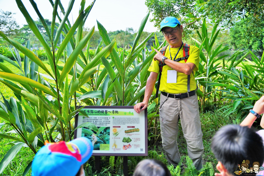 林學校 自然生態 導覽 走讀 旅遊 親子 互動 屏東 林後四林 環保 生態 在地美食 野餐 