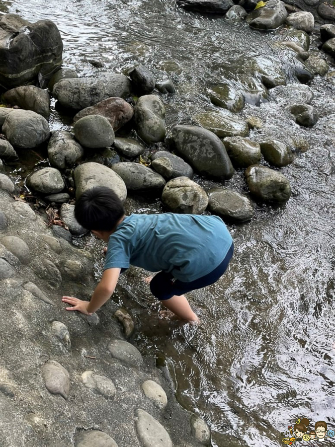 林學校 自然生態 導覽 走讀 旅遊 親子 互動 屏東 林後四林 環保 生態 在地美食 野餐 