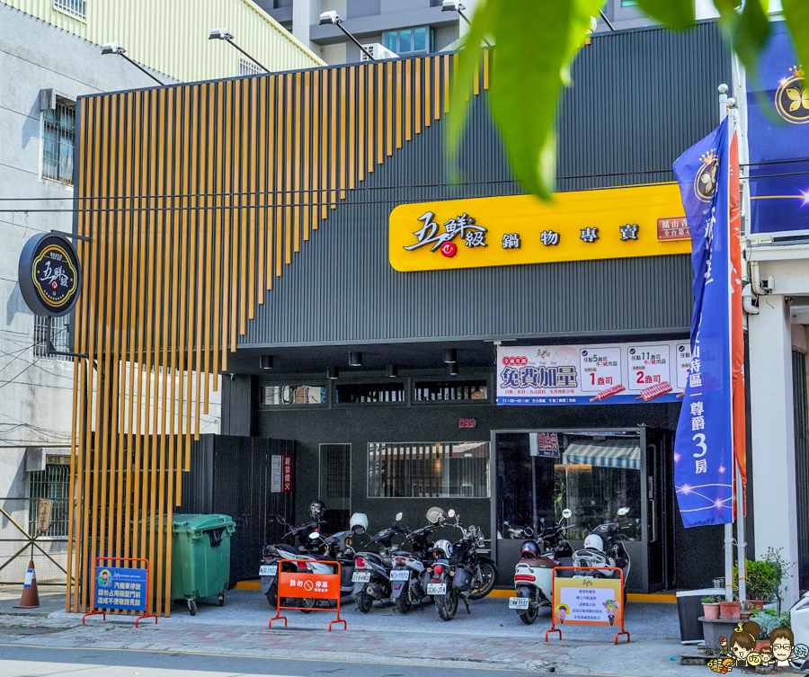 火鍋 鍋物 百元鍋物 高雄火鍋 高雄美食 聚餐 家庭聚會 親子用餐 美食 鍋 平價 五鮮級