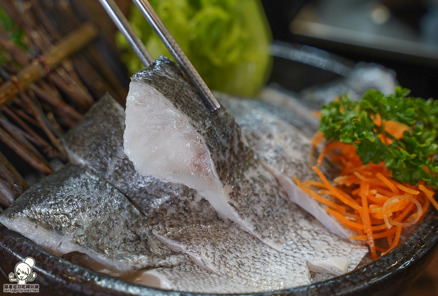 火鍋 鍋物 吃到飽 貓頭鷹 文山特區美食 必吃 聚餐 聚會 外帶 限定餐盒 好吃 美味 老母雞 上湯 異國風味 鴛鴦 麻奶