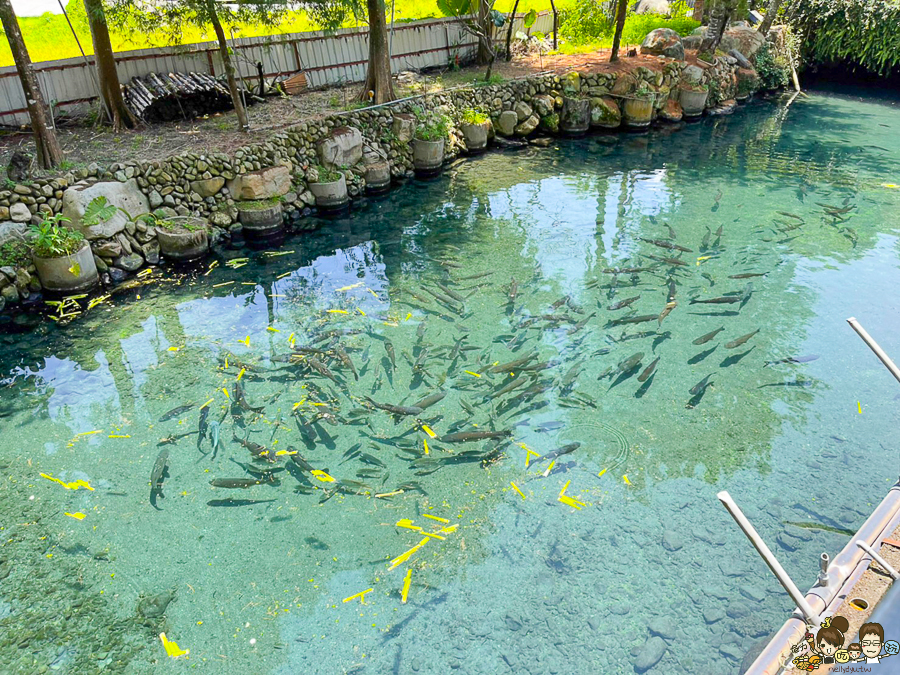 南投 活魚 烤魚 好吃 聚餐 美食 聚會 合菜 公田溝休閒廣場 活魚餐廳