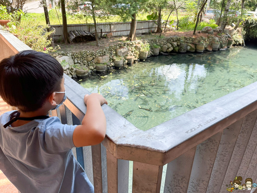 南投 活魚 烤魚 好吃 聚餐 美食 聚會 合菜 公田溝休閒廣場 活魚餐廳