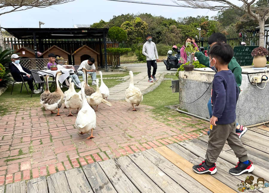 阿公店 水庫沒關 親子 戶外 庭園餐廳 戶外餐廳 水管餐廳 景觀 阿公店水庫 燕巢