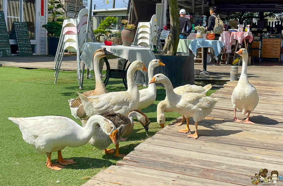 阿公店 水庫沒關 親子 戶外 庭園餐廳 戶外餐廳 水管餐廳 景觀 阿公店水庫 燕巢