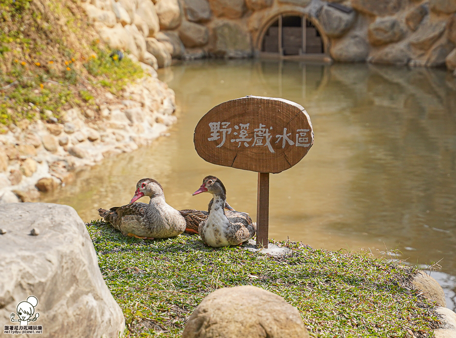 南投住宿 親子 日月潭 住宿推薦 露營住宿 葉子秘境 推薦 埔里 民宿