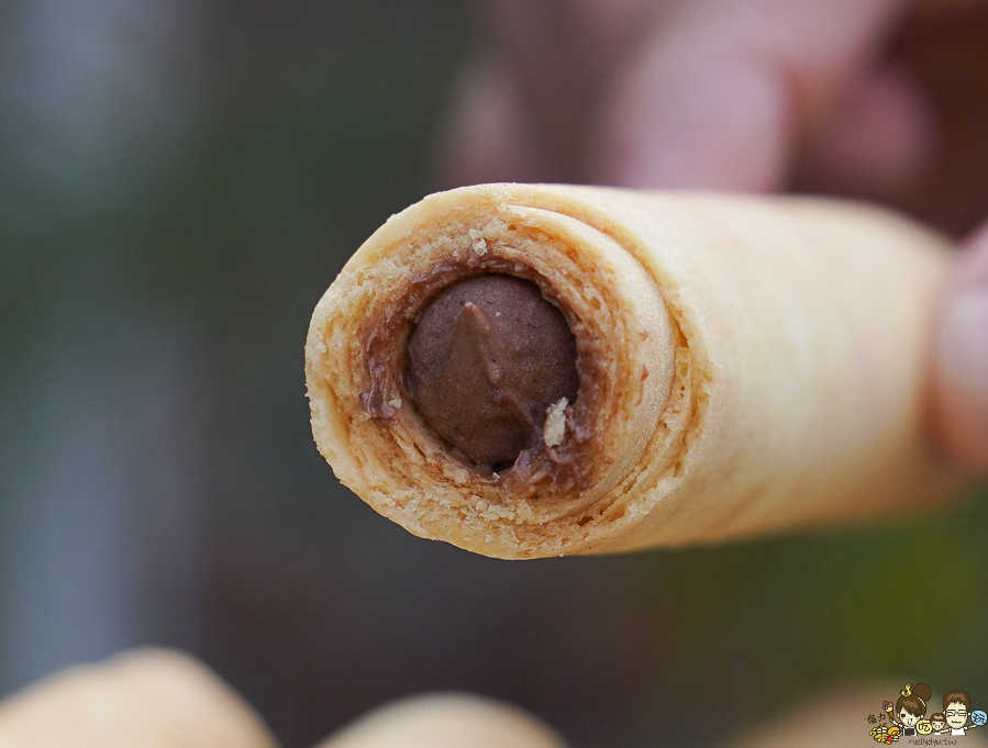  齊聚堂精緻手工蛋捲 生乳軟式蛋捲 手工蛋捲 伴手禮 禮盒 高雄 文山特區 甜點 下午茶 隱藏版