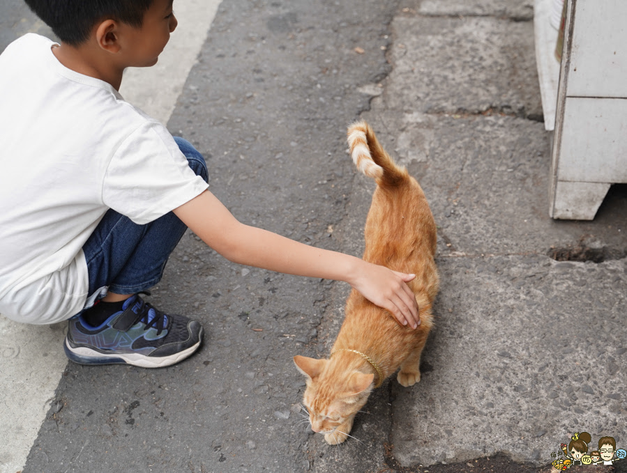 那瑪夏 螢火蟲 甲仙美食 米其林 必比登 芋頭 好吃 旅遊 深山裡的麵包 神社 高雄旅遊