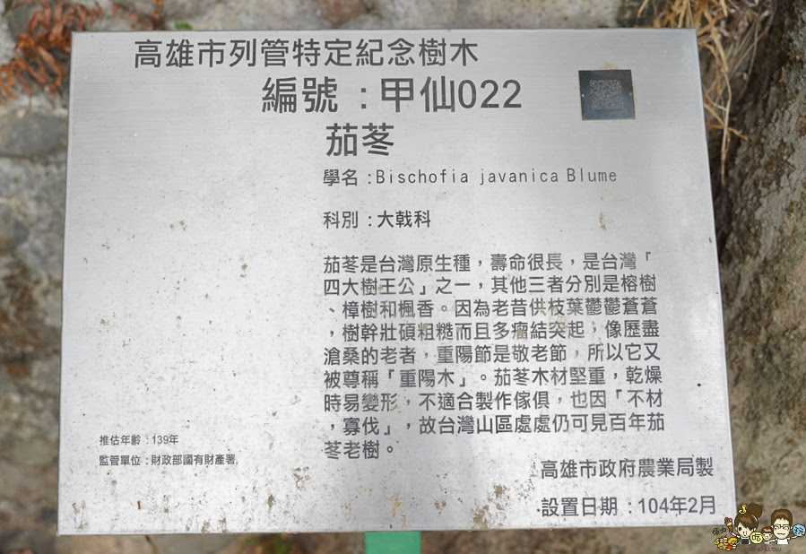 那瑪夏 螢火蟲 甲仙美食 米其林 必比登 芋頭 好吃 旅遊 深山裡的麵包 神社 高雄旅遊