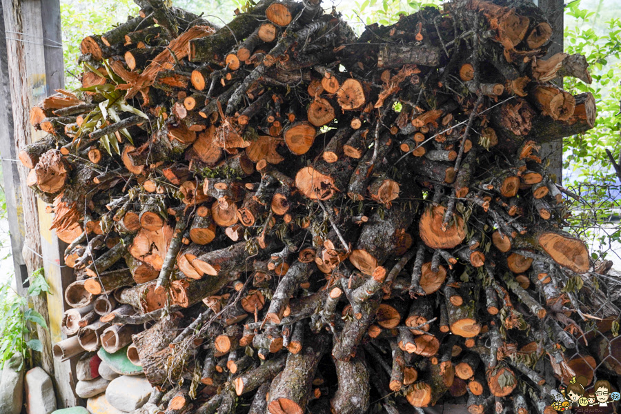 那瑪夏 螢火蟲 甲仙美食 米其林 必比登 芋頭 好吃 旅遊 深山裡的麵包 神社 高雄旅遊