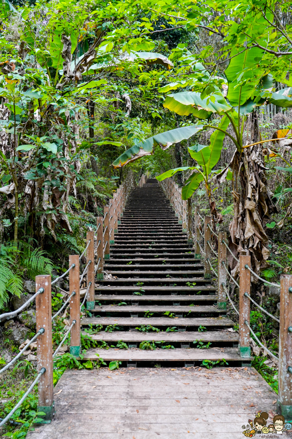那瑪夏 螢火蟲 甲仙美食 米其林 必比登 芋頭 好吃 旅遊 深山裡的麵包 神社 高雄旅遊