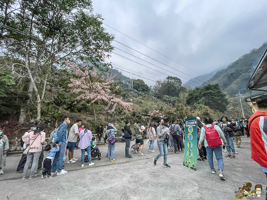 那瑪夏 螢火蟲 甲仙美食 米其林 必比登 芋頭 好吃 旅遊 深山裡的麵包 神社 高雄旅遊