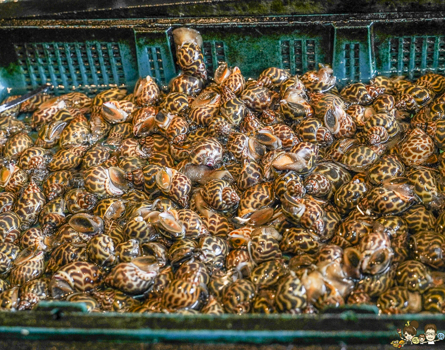 阿興生魚片 百元生魚片 傳承 老字號 在地 後壁湖美食 墾丁 恆春 南下 黑鮪魚 東港黑鮪魚