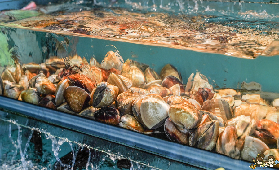 阿興生魚片 百元生魚片 傳承 老字號 在地 後壁湖美食 墾丁 恆春 南下 黑鮪魚 東港黑鮪魚