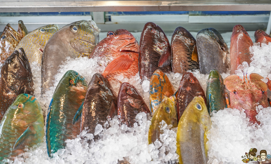 阿興生魚片 百元生魚片 傳承 老字號 在地 後壁湖美食 墾丁 恆春 南下 黑鮪魚 東港黑鮪魚