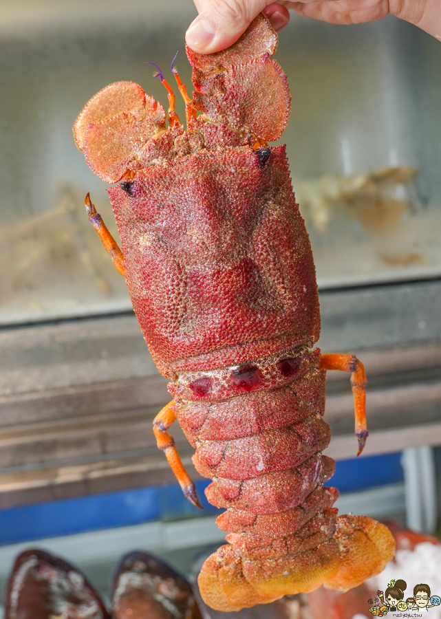 阿興生魚片 百元生魚片 傳承 老字號 在地 後壁湖美食 墾丁 恆春 南下 黑鮪魚 東港黑鮪魚