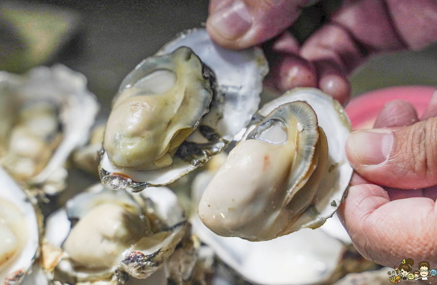 青年夜市 夜市美食 好吃 推薦 海公公大排檔 大排檔 海鮮 青蚵 火烤魚 烤魚 烤海鮮 平價海鮮