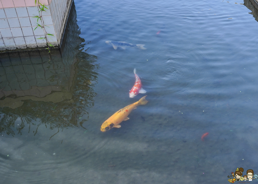 花蓮住宿 壽豐鄉 旅店 推薦 花蓮