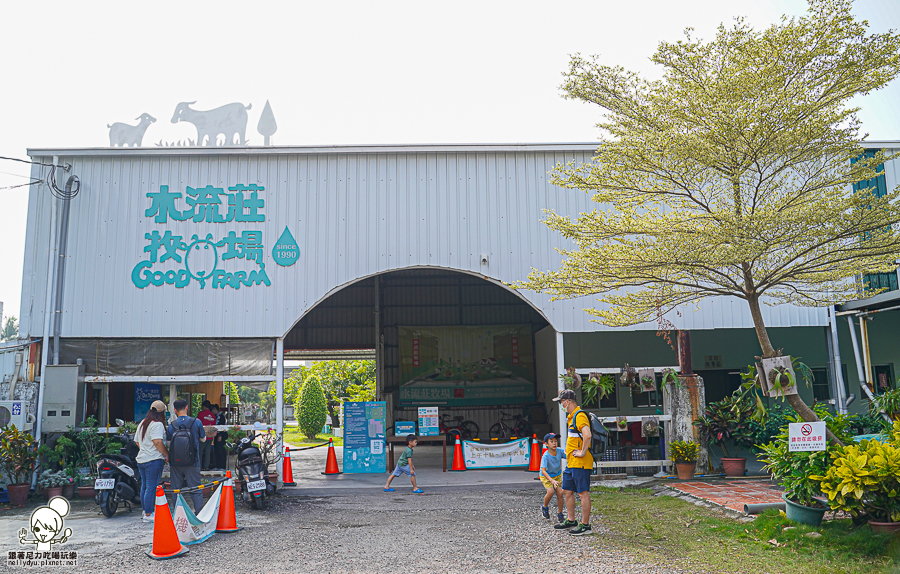 高雄牧場 戶外 放電 親子 景點 橋頭 實習生 水流莊牧場 可愛動物 休閒 旅遊 小牧羊人 體驗 