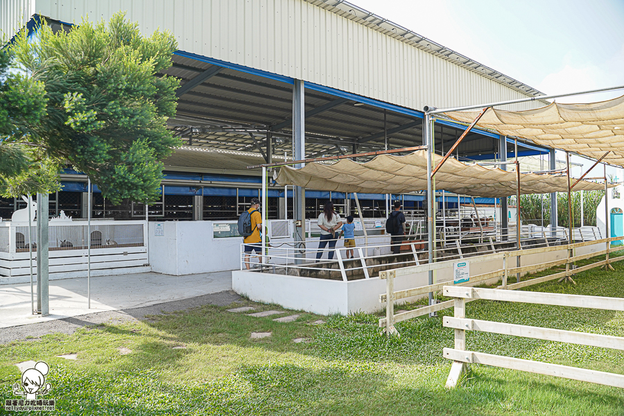 高雄牧場 戶外 放電 親子 景點 橋頭 實習生 水流莊牧場 可愛動物 休閒 旅遊 小牧羊人 體驗 