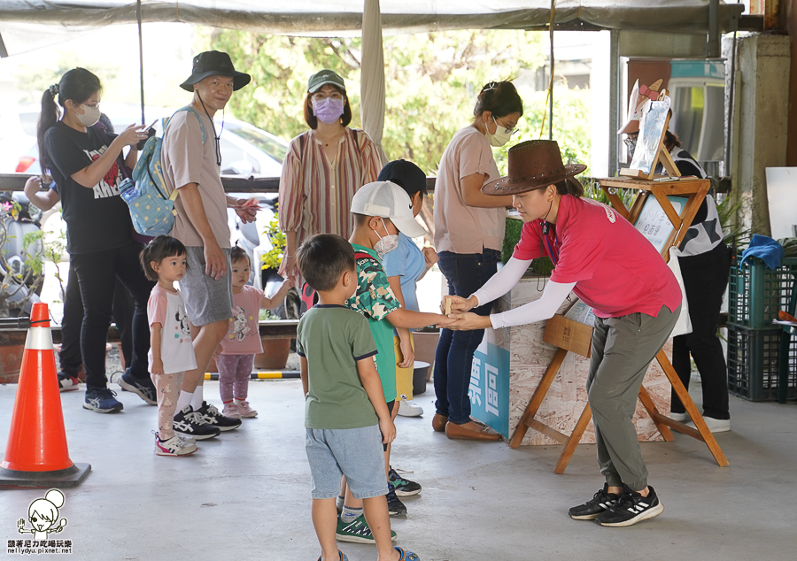 高雄牧場 戶外 放電 親子 景點 橋頭 實習生 水流莊牧場 可愛動物 休閒 旅遊 小牧羊人 體驗 