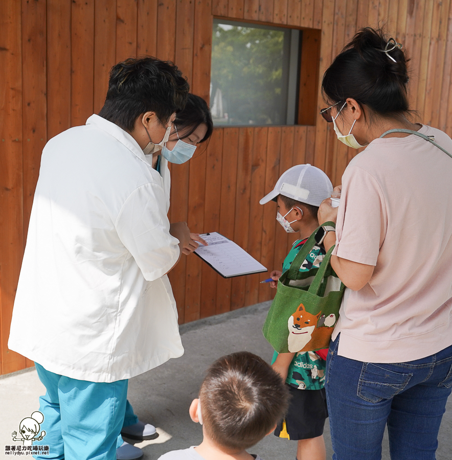 高雄牧場 戶外 放電 親子 景點 橋頭 實習生 水流莊牧場 可愛動物 休閒 旅遊 小牧羊人 體驗 