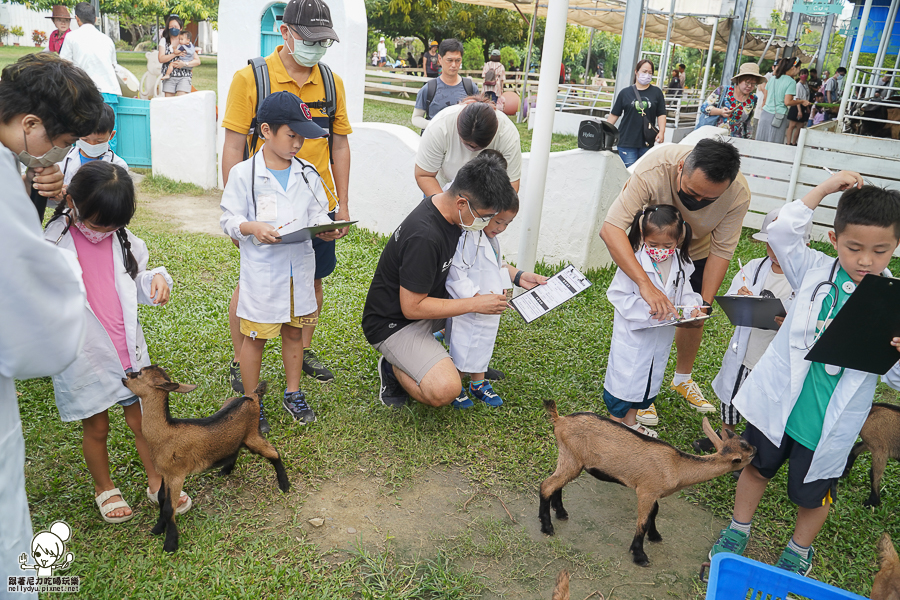 高雄牧場 戶外 放電 親子 景點 橋頭 實習生 水流莊牧場 可愛動物 休閒 旅遊 小牧羊人 體驗 