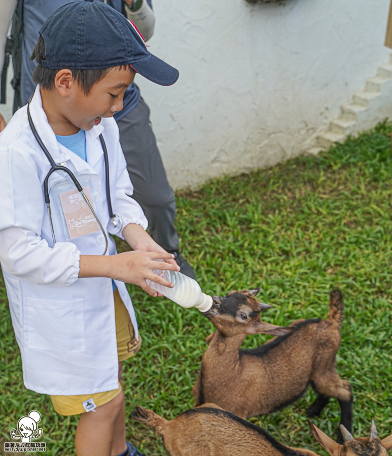 高雄牧場 戶外 放電 親子 景點 橋頭 實習生 水流莊牧場 可愛動物 休閒 旅遊 小牧羊人 體驗 