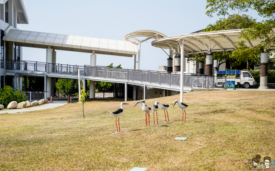 大鵬灣 旅遊 環境保育 環境 濕地 公園 親子 教育 互動 遊客中心 必遊 好玩 生態 鳥 