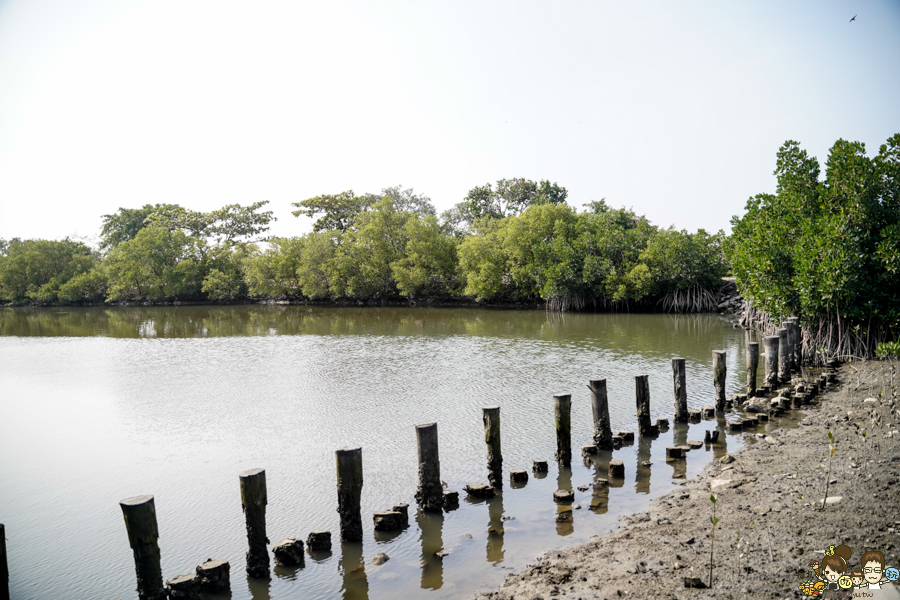 大鵬灣 旅遊 環境保育 環境 濕地 公園 親子 教育 互動 遊客中心 必遊 好玩 生態 鳥 