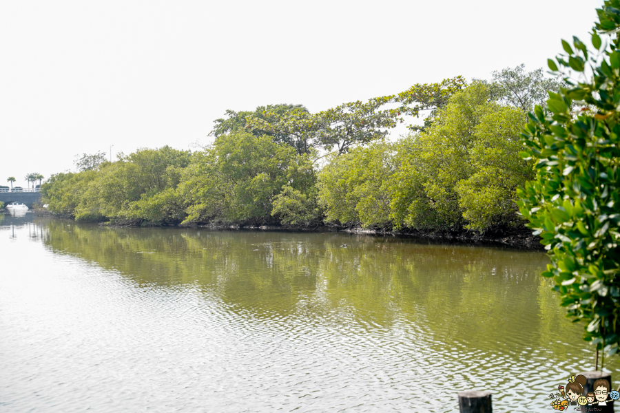 大鵬灣 旅遊 環境保育 環境 濕地 公園 親子 教育 互動 遊客中心 必遊 好玩 生態 鳥 