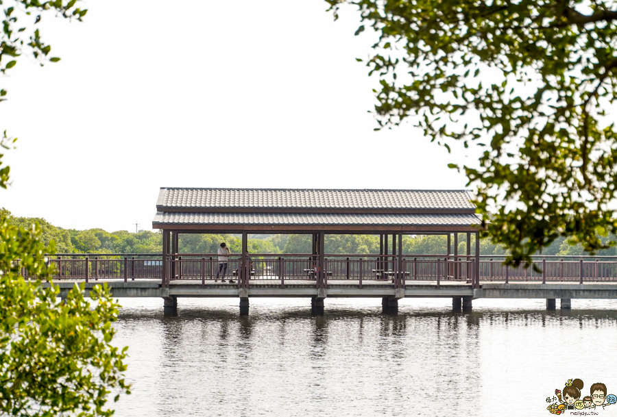 大鵬灣 旅遊 環境保育 環境 濕地 公園 親子 教育 互動 遊客中心 必遊 好玩 生態 鳥 