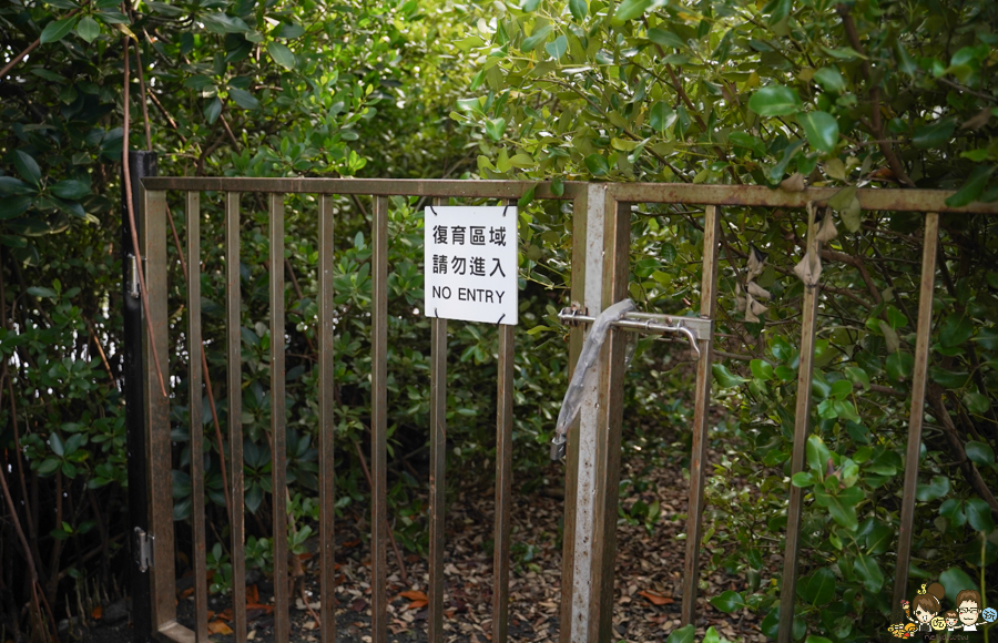 大鵬灣 旅遊 環境保育 環境 濕地 公園 親子 教育 互動 遊客中心 必遊 好玩 生態 鳥 