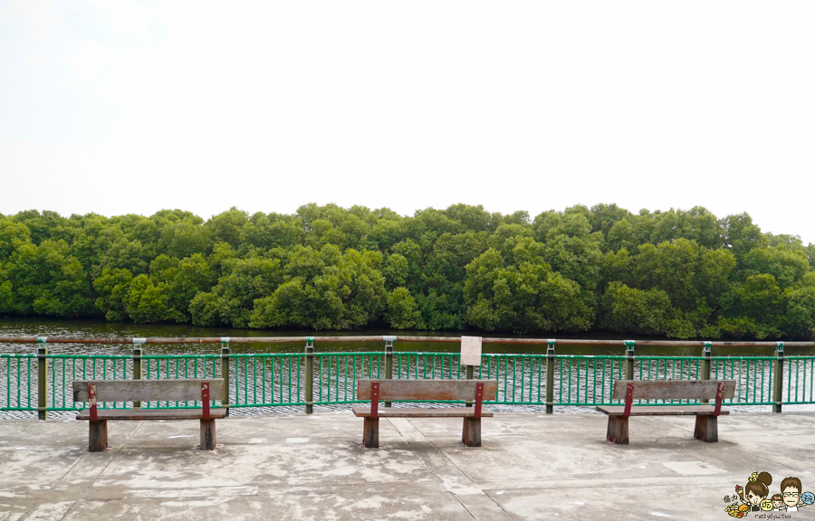 大鵬灣 旅遊 環境保育 環境 濕地 公園 親子 教育 互動 遊客中心 必遊 好玩 生態 鳥 