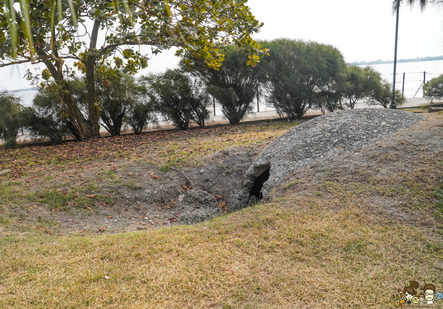 大鵬灣 旅遊 環境保育 環境 濕地 公園 親子 教育 互動 遊客中心 必遊 好玩 生態 鳥 