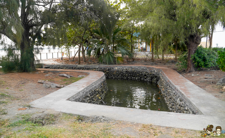 大鵬灣 旅遊 環境保育 環境 濕地 公園 親子 教育 互動 遊客中心 必遊 好玩 生態 鳥 