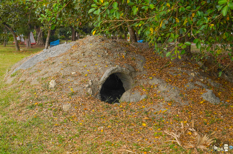 大鵬灣 旅遊 環境保育 環境 濕地 公園 親子 教育 互動 遊客中心 必遊 好玩 生態 鳥 