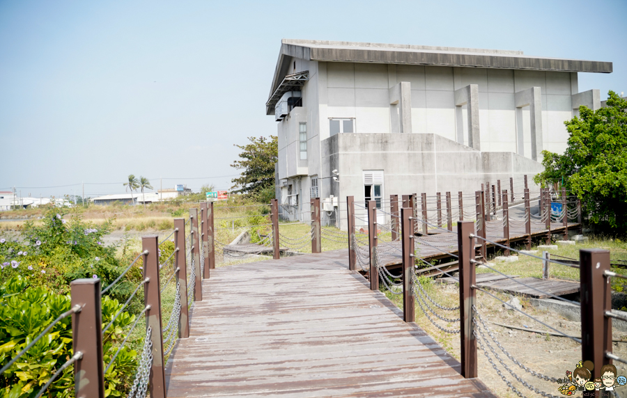 大鵬灣 旅遊 環境保育 環境 濕地 公園 親子 教育 互動 遊客中心 必遊 好玩 生態 鳥 