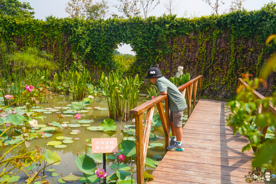 免費 花園 雅聞湖濱療癒森林 觀光工廠 台南 免費停車 入園 好玩 好拍 歐式 法式 餐廳 美食 保養