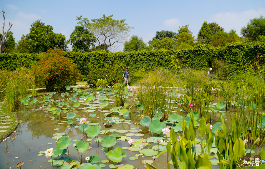 免費 花園 雅聞湖濱療癒森林 觀光工廠 台南 免費停車 入園 好玩 好拍 歐式 法式 餐廳 美食 保養