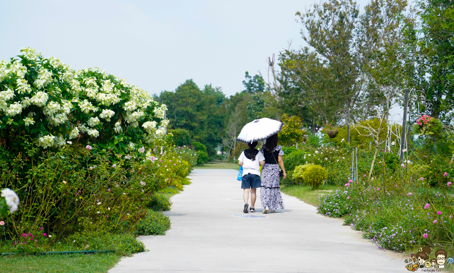 免費 花園 雅聞湖濱療癒森林 觀光工廠 台南 免費停車 入園 好玩 好拍 歐式 法式 餐廳 美食 保養