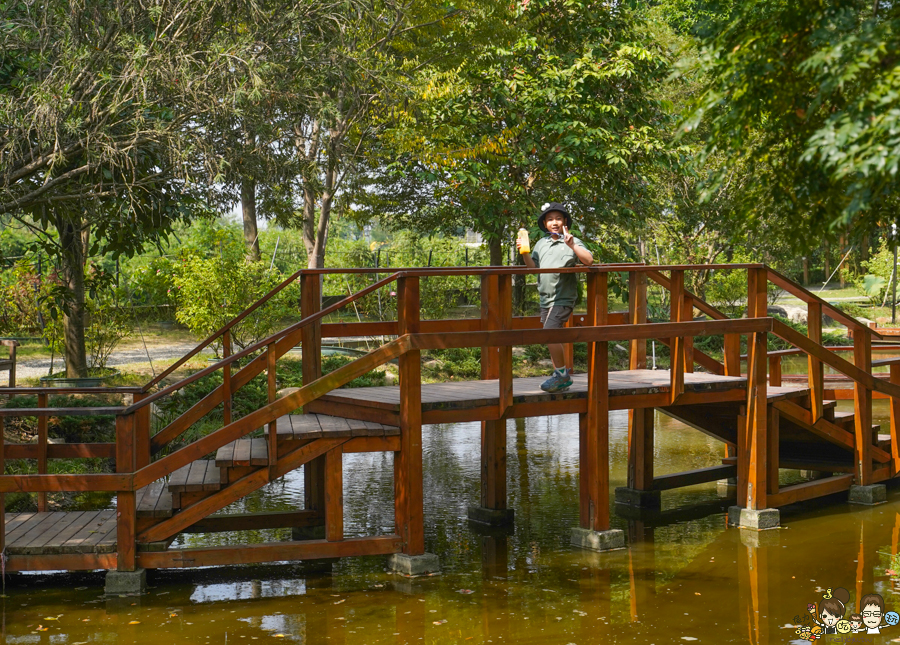 免費 花園 雅聞湖濱療癒森林 觀光工廠 台南 免費停車 入園 好玩 好拍 歐式 法式 餐廳 美食 保養