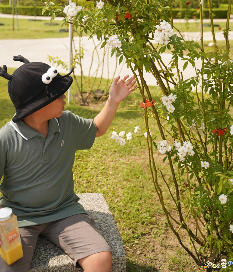 免費 花園 雅聞湖濱療癒森林 觀光工廠 台南 免費停車 入園 好玩 好拍 歐式 法式 餐廳 美食 保養