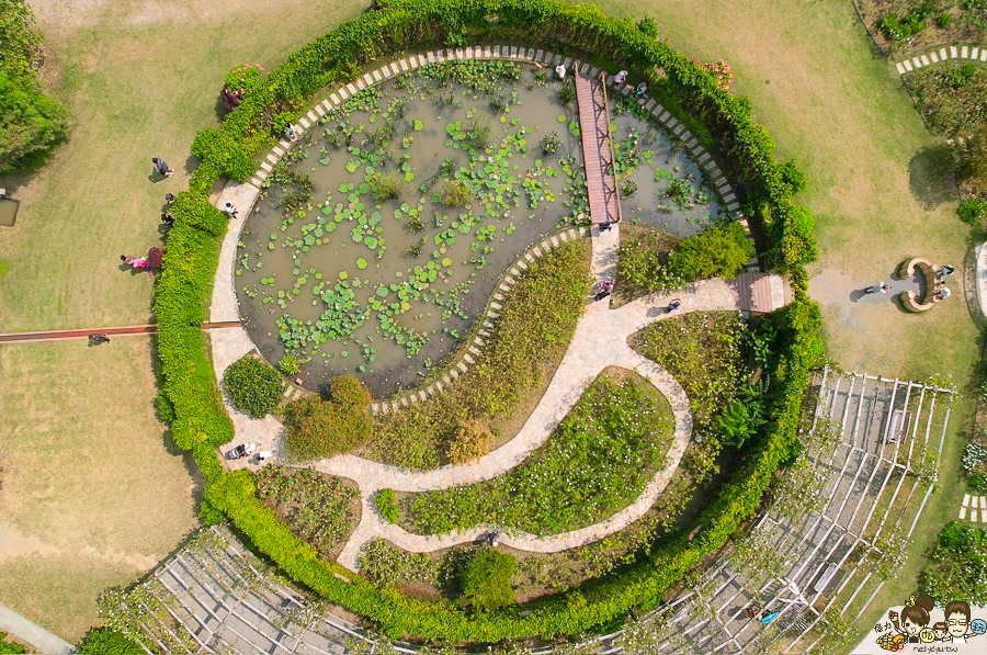 免費 花園 雅聞湖濱療癒森林 觀光工廠 台南 免費停車 入園 好玩 好拍 歐式 法式 餐廳 美食 保養