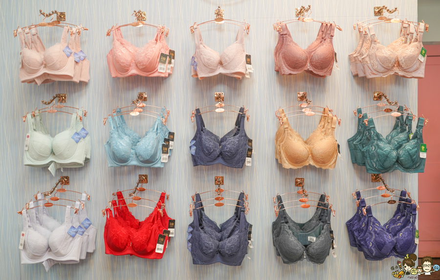 煣依Zoe's BRA 內衣 內衣週年慶 特賣會 內衣 內褲 百元 台灣內衣 台灣品牌 無鋼圈 軟鋼圈