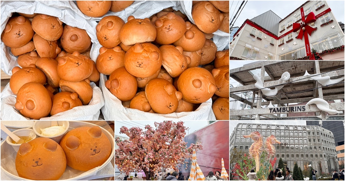  小熊麵包 Dalim bread 달임집 聖水 首爾 逛街 必吃 