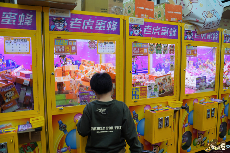 台南親子 台南景點 老虎蜜蜂遊樂園 仁德旗艦店 仁德交流道 免費喝 球池 貓咪
