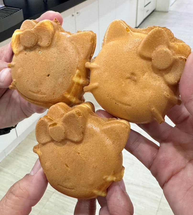 台南親子 台南景點 老虎蜜蜂遊樂園 仁德旗艦店 仁德交流道 免費喝 球池 貓咪