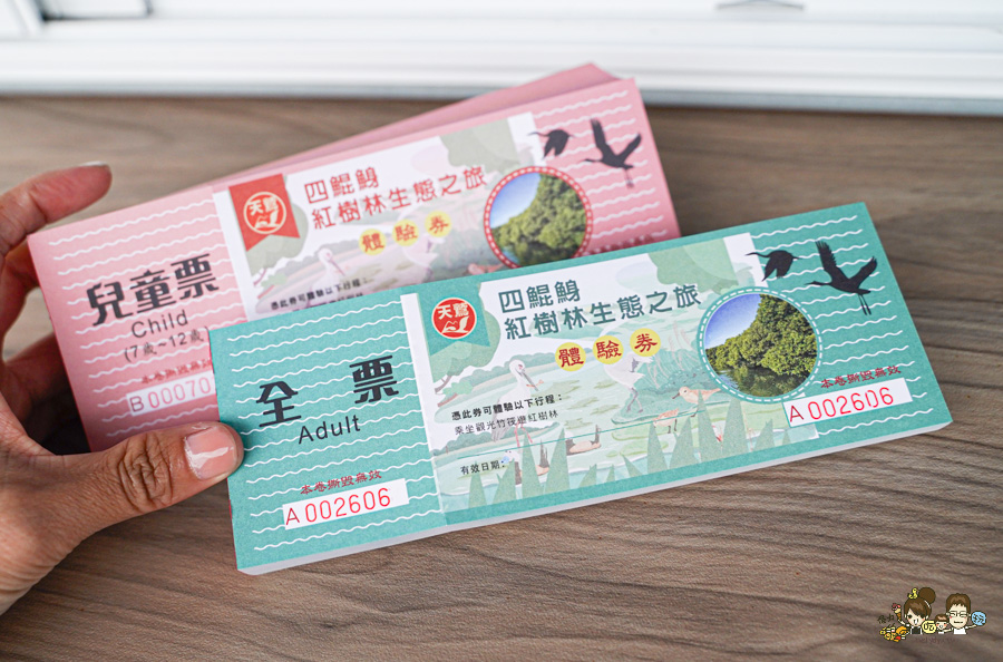 四鯤鯓鯤鯓湖紅樹林生態觀光船 台南 景點 親子 互動 生態 好玩 有趣 體驗 深度 文化 安平 鹽田 新景點